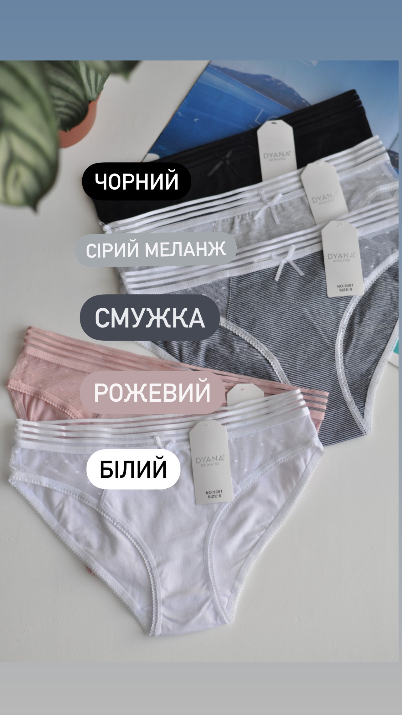 Сліпи з сіточкою Dyana розмір S - Зображення 8