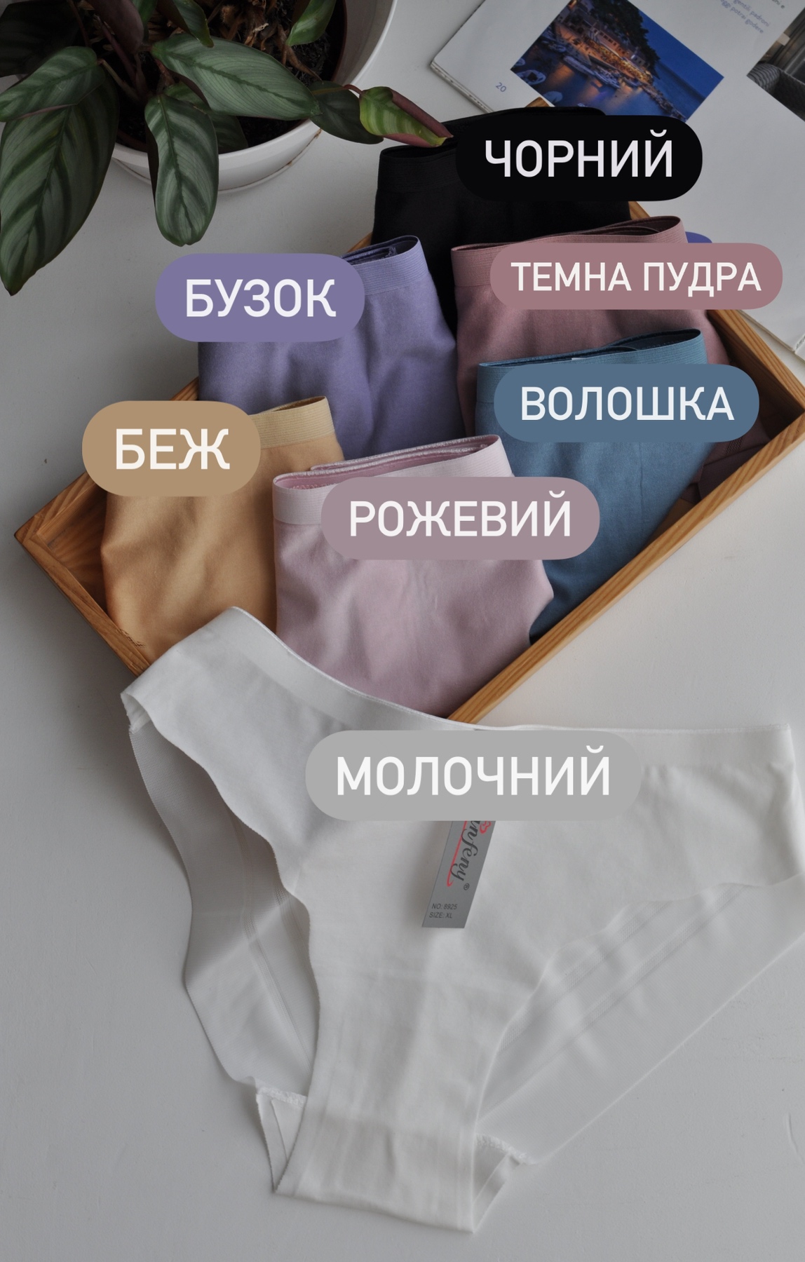 Сліпи з прозорими смужками - Зображення 8