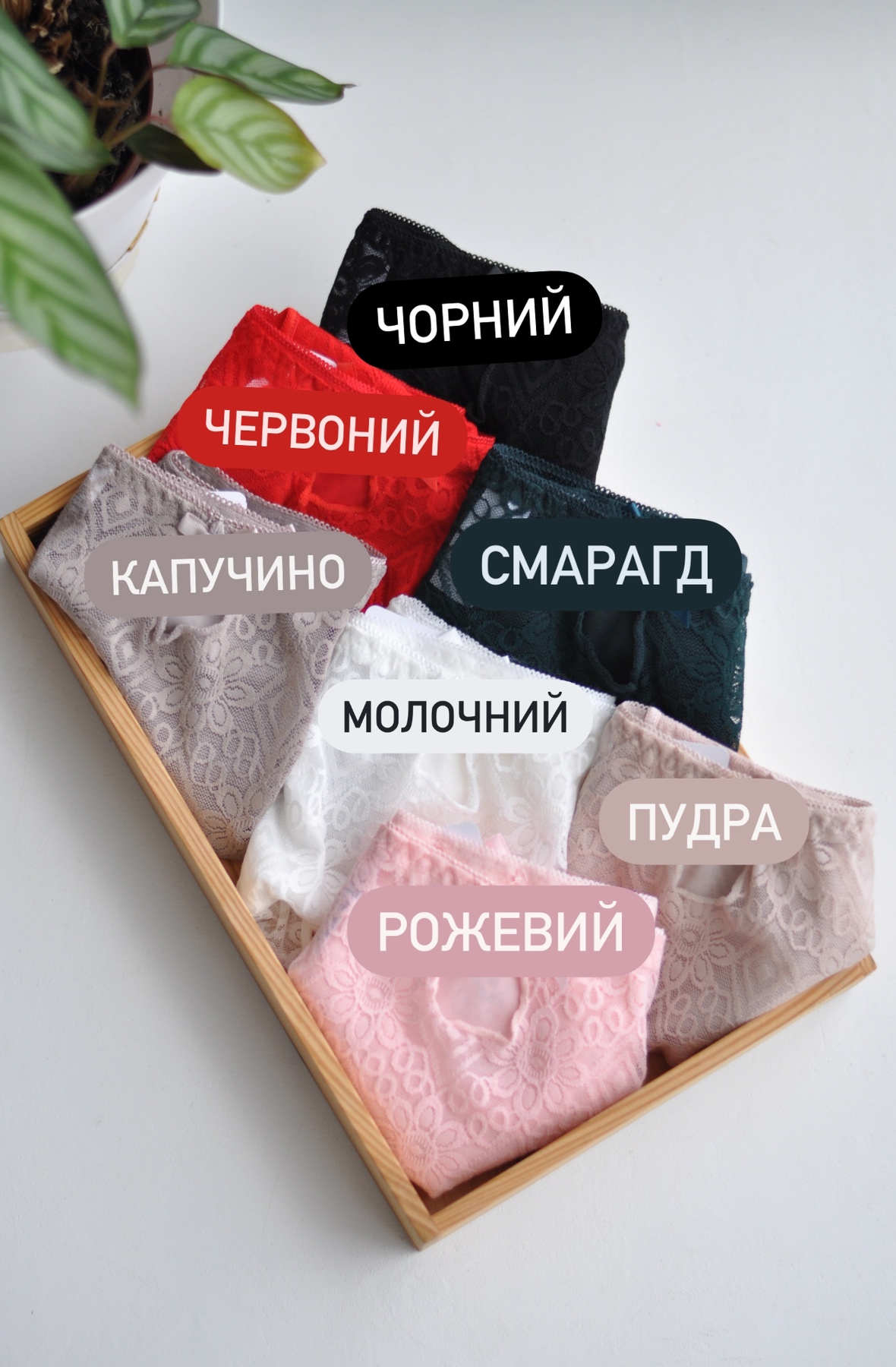 Сліпи мереживо - Зображення 11