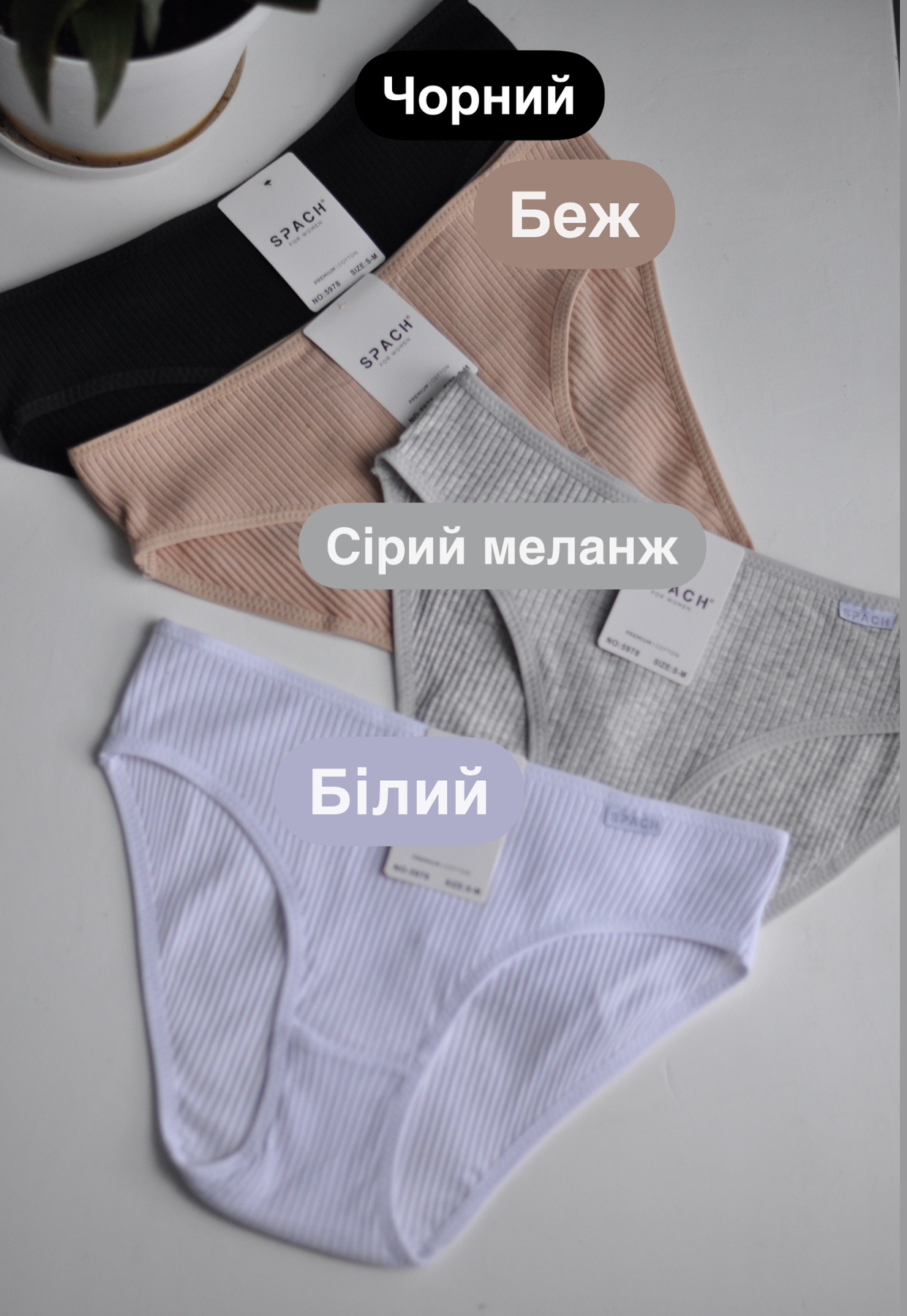 Сліпи в рубчик - Зображення 6